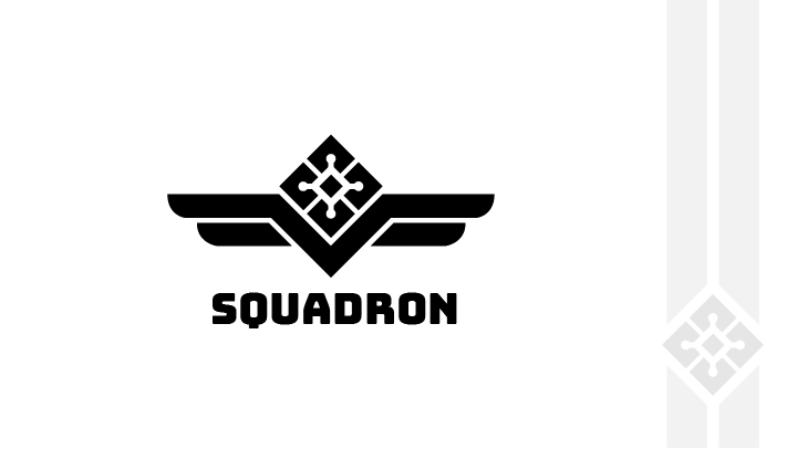 NS Squadron logo